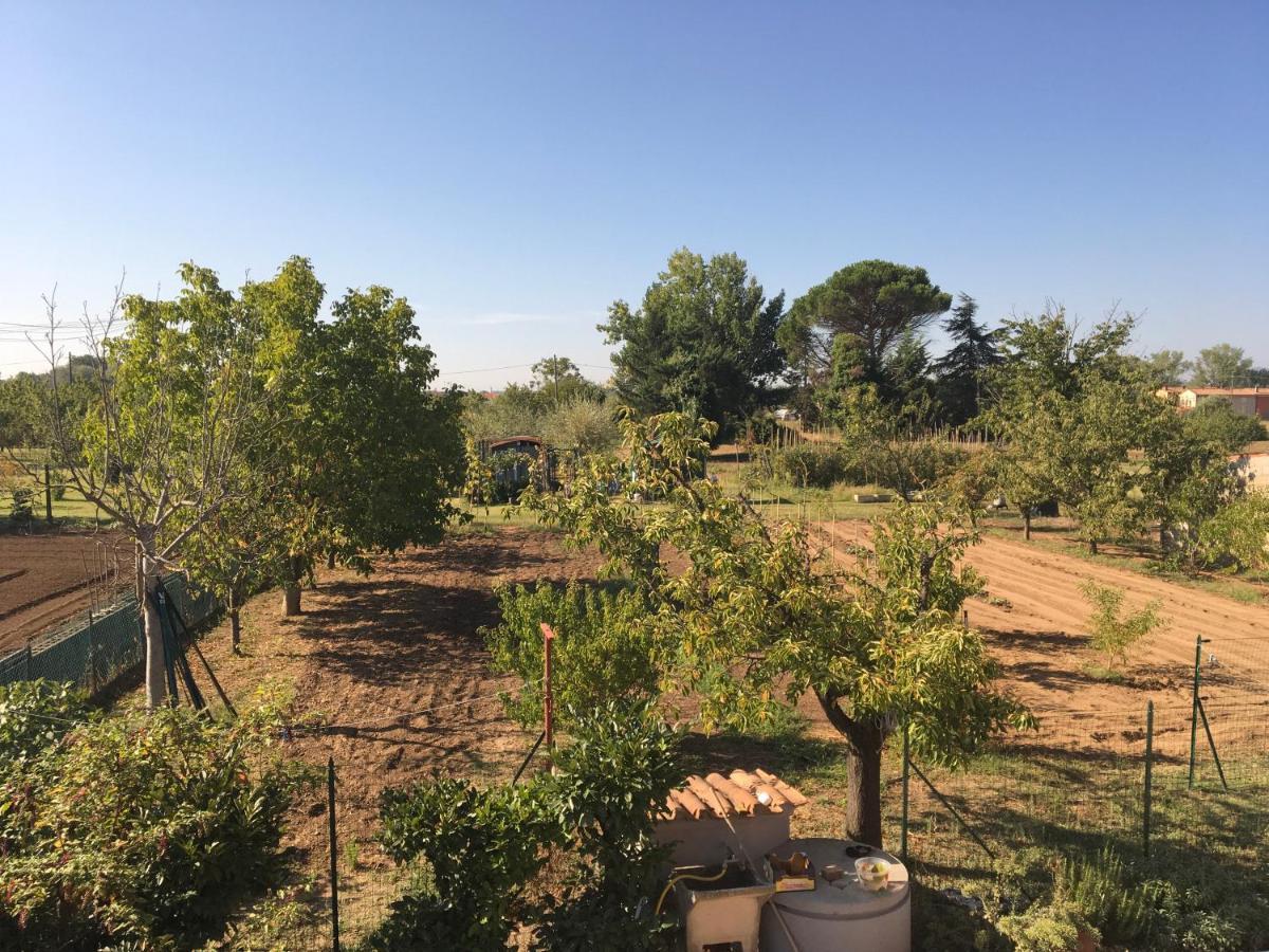 Tuscan Dream Casa Vacanze Pieve a Nievole Ngoại thất bức ảnh